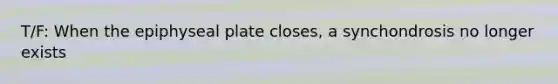 T/F: When the epiphyseal plate closes, a synchondrosis no longer exists