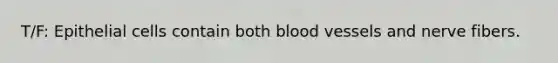 T/F: Epithelial cells contain both blood vessels and nerve fibers.