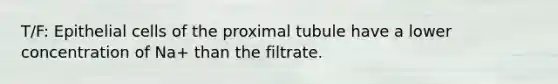 T/F: Epithelial cells of the proximal tubule have a lower concentration of Na+ than the filtrate.