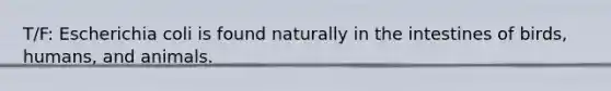 T/F: Escherichia coli is found naturally in the intestines of birds, humans, and animals.