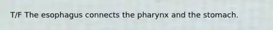 T/F <a href='https://www.questionai.com/knowledge/kSjVhaa9qF-the-esophagus' class='anchor-knowledge'>the esophagus</a> connects <a href='https://www.questionai.com/knowledge/ktW97n6hGJ-the-pharynx' class='anchor-knowledge'>the pharynx</a> and <a href='https://www.questionai.com/knowledge/kLccSGjkt8-the-stomach' class='anchor-knowledge'>the stomach</a>.