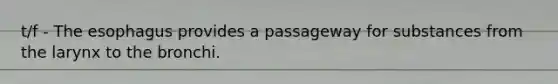 t/f - The esophagus provides a passageway for substances from the larynx to the bronchi.