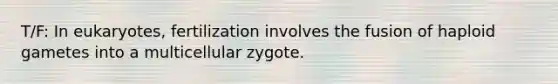 T/F: In eukaryotes, fertilization involves the fusion of haploid gametes into a multicellular zygote.