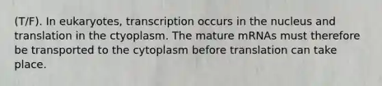 (T/F). In eukaryotes, transcription occurs in the nucleus and translation in the ctyoplasm. The mature mRNAs must therefore be transported to the cytoplasm before translation can take place.