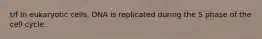 t/f In eukaryotic cells, DNA is replicated during the S phase of the cell cycle.