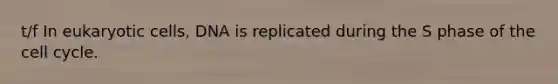 t/f In eukaryotic cells, DNA is replicated during the S phase of the <a href='https://www.questionai.com/knowledge/keQNMM7c75-cell-cycle' class='anchor-knowledge'>cell cycle</a>.