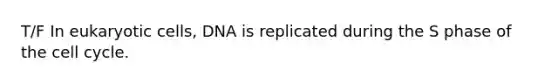 T/F In eukaryotic cells, DNA is replicated during the S phase of the cell cycle.