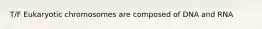 T/F Eukaryotic chromosomes are composed of DNA and RNA