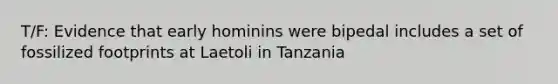 T/F: Evidence that early hominins were bipedal includes a set of fossilized footprints at Laetoli in Tanzania