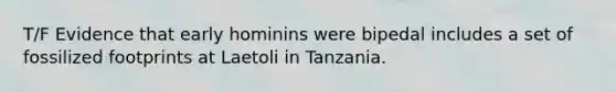 T/F Evidence that early hominins were bipedal includes a set of fossilized footprints at Laetoli in Tanzania.