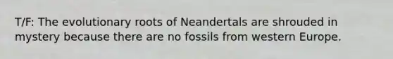 T/F: The evolutionary roots of Neandertals are shrouded in mystery because there are no fossils from western Europe.