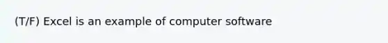 (T/F) Excel is an example of computer software