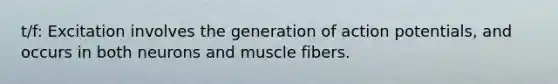 t/f: Excitation involves the generation of action potentials, and occurs in both neurons and muscle fibers.