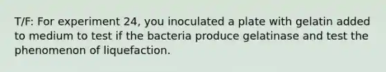 T/F: For experiment 24, you inoculated a plate with gelatin added to medium to test if the bacteria produce gelatinase and test the phenomenon of liquefaction.