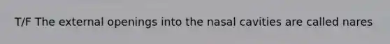 T/F The external openings into the nasal cavities are called nares