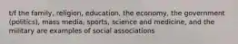 t/f the family, religion, education, the economy, the government (politics), mass media, sports, science and medicine, and the military are examples of social associations