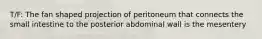 T/F: The fan shaped projection of peritoneum that connects the small intestine to the posterior abdominal wall is the mesentery