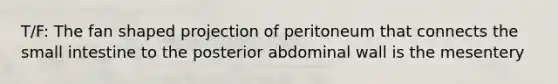 T/F: The fan shaped projection of peritoneum that connects the small intestine to the posterior abdominal wall is the mesentery