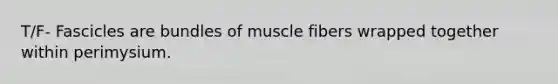 T/F- Fascicles are bundles of muscle fibers wrapped together within perimysium.