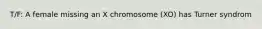 T/F: A female missing an X chromosome (XO) has Turner syndrom