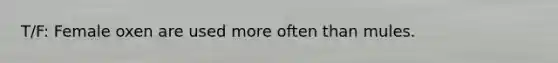 T/F: Female oxen are used more often than mules.