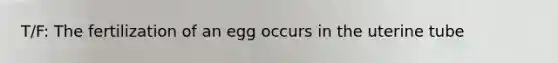 T/F: The fertilization of an egg occurs in the uterine tube