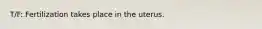 T/F: Fertilization takes place in the uterus.