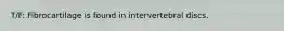 T/F: Fibrocartilage is found in intervertebral discs.