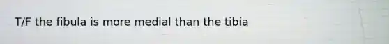 T/F the fibula is more medial than the tibia