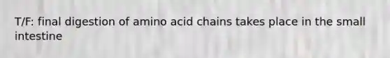 T/F: final digestion of amino acid chains takes place in the small intestine