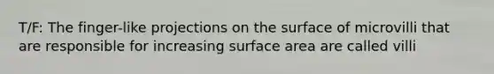 T/F: The finger-like projections on the surface of microvilli that are responsible for increasing <a href='https://www.questionai.com/knowledge/kEtsSAPENL-surface-area' class='anchor-knowledge'>surface area</a> are called villi