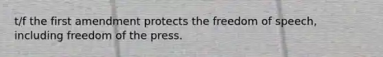 t/f the first amendment protects the freedom of speech, including freedom of the press.