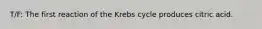 T/F: The first reaction of the Krebs cycle produces citric acid.