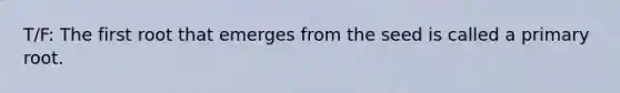 T/F: The first root that emerges from the seed is called a primary root.