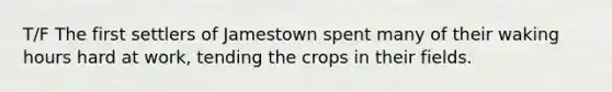 T/F The first settlers of Jamestown spent many of their waking hours hard at work, tending the crops in their fields.