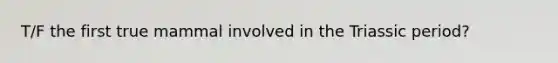 T/F the first true mammal involved in the Triassic period?