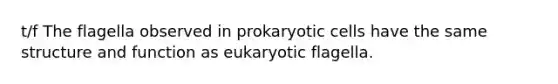 t/f The flagella observed in prokaryotic cells have the same structure and function as eukaryotic flagella.