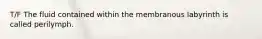 T/F The fluid contained within the membranous labyrinth is called perilymph.