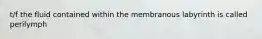 t/f the fluid contained within the membranous labyrinth is called perilymph