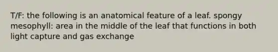 T/F: the following is an anatomical feature of a leaf. spongy mesophyll: area in the middle of the leaf that functions in both light capture and gas exchange