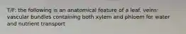 T/F: the following is an anatomical feature of a leaf. veins: vascular bundles containing both xylem and phloem for water and nutrient transport