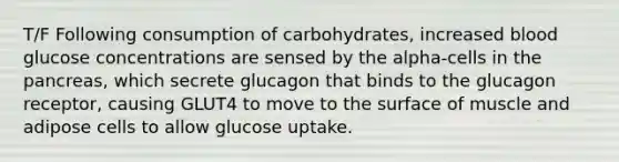 T/F Following consumption of carbohydrates, increased blood glucose concentrations are sensed by the alpha-cells in the pancreas, which secrete glucagon that binds to the glucagon receptor, causing GLUT4 to move to the surface of muscle and adipose cells to allow glucose uptake.