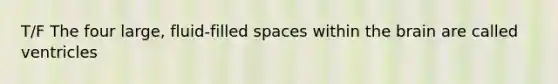 T/F The four large, fluid-filled spaces within <a href='https://www.questionai.com/knowledge/kLMtJeqKp6-the-brain' class='anchor-knowledge'>the brain</a> are called ventricles