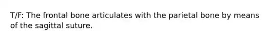 T/F: The frontal bone articulates with the parietal bone by means of the sagittal suture.