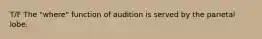 T/F The "where" function of audition is served by the parietal lobe.