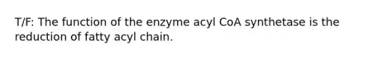 T/F: The function of the enzyme acyl CoA synthetase is the reduction of fatty acyl chain.