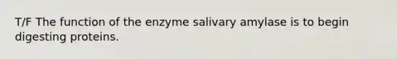 T/F The function of the enzyme salivary amylase is to begin digesting proteins.