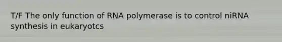 T/F The only function of RNA polymerase is to control niRNA synthesis in eukaryotcs