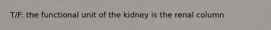 T/F: the functional unit of the kidney is the renal column