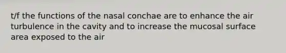 t/f the functions of the nasal conchae are to enhance the air turbulence in the cavity and to increase the mucosal surface area exposed to the air